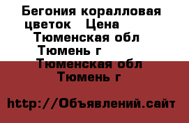 Бегония коралловая цветок › Цена ­ 100 - Тюменская обл., Тюмень г.  »    . Тюменская обл.,Тюмень г.